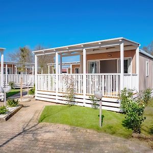 Animal Accepté Mobile Home de Luxe